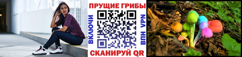 Псилоцибиновые грибы мицелий  где купить наркоту  Сосногорск 